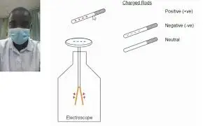 Electroscope Simulation | Science Experiment | Virtual Lab Simulation