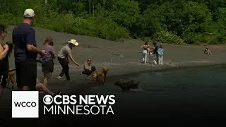 This Minnesota beach may be the only of its kind in the nation