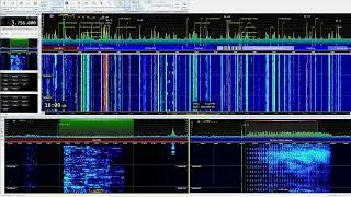 The Pip 3756kHz Network check 18:09UTC 24/Feb/2022