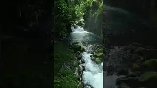 Peaceful subliminal messages✨|| Manifest Dream Life #waterfall #water #relaxing #naturesounds
