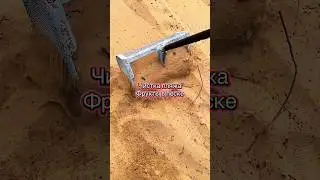 Beach Cleanup Gone Crazy &ndash; Hidden Treasure Found!