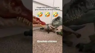 Mountain Chickn #mountains #mountainchicken #chicken #food #frog #dinosaur #comedy #jokes #confused