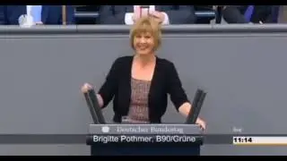 Wirtschaftspolitischer Sachverstand Gruene