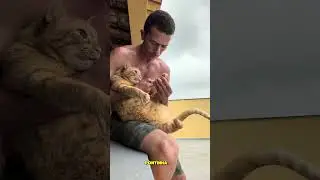 Nail trimming day...... #cat #cats #foryou #funny #viral