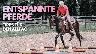 Feines Reiten & entspannte Pferde | Die Gentle-Touch-Methode erkl&auml;rt
