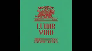 Aura Safari & Jimi Tenor - Lunar Wind (Original Mix)