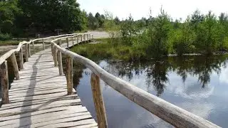 632 Brunssummerheide (Limburg, NL) 10 km