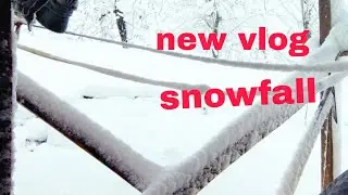 Snowfall vlog #viralvideo #shortsfeed #newvlog #trending #videoblog 