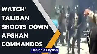 Video: Taliban members allegedly shoot down 22 Afghan commandos in Faryab | Watch | Oneindia News