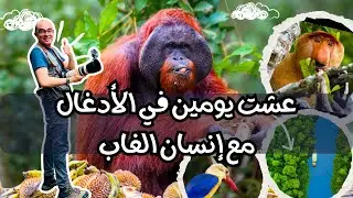 من النهر للغابة: مغامرتي مع الأورانجوتان في بورنيو | Jungle River Orangutan Adventure in Borneo