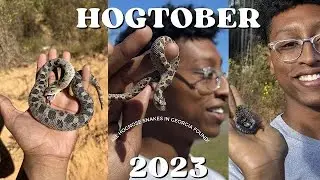ХОГТОБЕР 2023: СКОЛЬЗКИЕ ЗМЕИ ПО ВСЕЙ ГРУНТОВОЙ ДОРОГЕ!