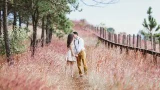 Most Perfect Couple Compatibility 😍❤️ #zodiac zodiacsigns #shortfeed #viral