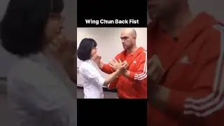 #wingchun #backfist #wingchunkungfu