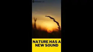 The new sound of Nature