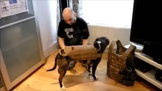 Tactical K9 Vest