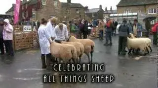 Border Collie Rescue - Masham Sheep Fair