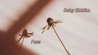 Baby Riddim - Fave (Lyrics)