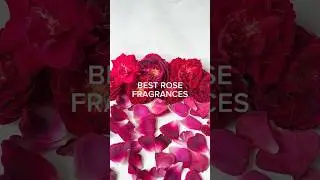 The best rose fragrances in my collection 🌹