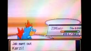 Wifi Battle 176 : Vs. TwistOfF4t3/Sarcasjak [Heart Gold]