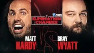 bray wyatt vs matt hardy elimination chamber