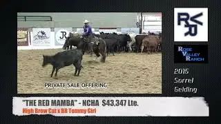 Rose Valley Ranch Cutting Horses For Sale Special Offerings