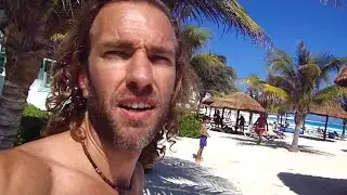 Three Weird Ways to Climb a Coconut Palm Tree