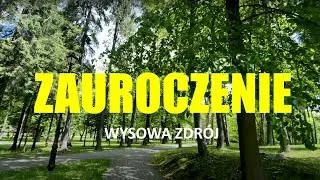 ZAUROCZENIE Wysowa Zdr&oacute;j