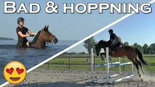 TVÅDAGARSVLOGG I STALLET - Badar & hoppar med hästarna
