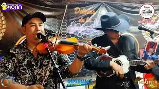 Palomazo Karlos Cristóbal de Imperiales dé  la Sierra y Trío Los Caimanes en Delicias dé la Huasteca