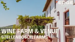 Stunning Wine Farm & Wedding Venue