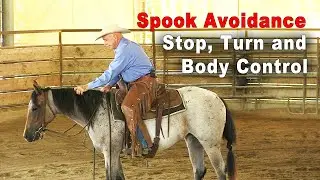 Horse Training For Spook Avoidance - Stops, Turns & Body Control - Foundation Horse Training