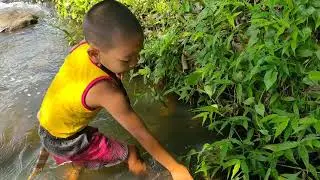 amazing two kids catch crab in the river