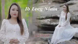Ib Leeg Niam - Zoo Xyooj (COVER)
