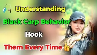 🎣 Understanding Black Carp Behavior – Hook Them Every Time