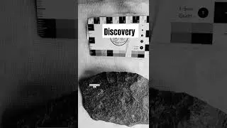 #discovery #india #archaeology #trending #prehistoric #viral #tools #tool #shortsfeed #facts #shorts