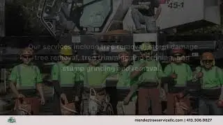 Mendez Tree Service Springfield Massachusetts 01109