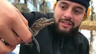 NOLA 300