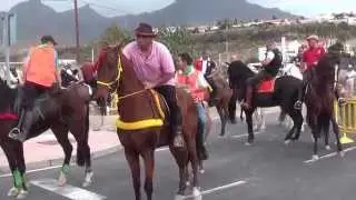 006 Procesión de san sebastian patrono de los animales tiene el caleta le 20/01/2015
