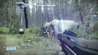 Destiny 2 Use Sand Wasp 3 AU Get EDZ Token