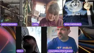 SILLY SATURDAY!! ANIMALS & ART!! Come and join the chipmunks LIVE!