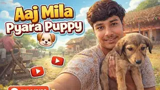 Doges Sera and Doges Salman S Mila 😂