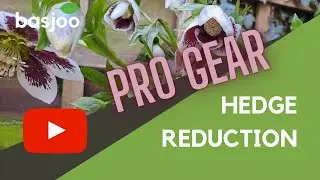 HEDGE REDUCTION - A Professional Gardener's Gear - STIHL HLA86 HTA135 HS45, Wolf Garten