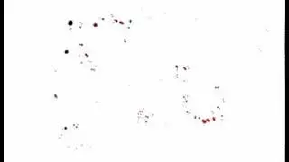 color particles