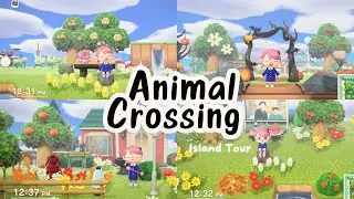 a Tour of my Budget Animal Crossing 5 Stars Island ⭐⭐⭐⭐⭐
