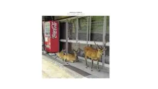 Mika Vainio & Franck Vigroux | Man [Cosmo Rhythmatic 2015]