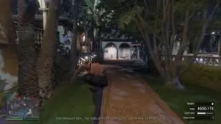 BAGHUNT PLAYS