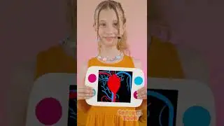 Let's Learn What's Hiding Inside Our Body 🧠❓ #kidsvideo #learning