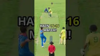 PBKS v DC who will win? #shorts #short #yt #cricket #ipl #ipl2025 #facts #trending #ytviral #sports