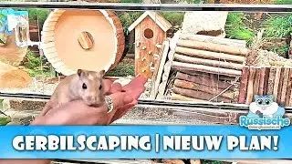 Gerbilscaping 🤎 Gerbil Kooi Inrichten | Andere inrichting van de Gerbil kooi #5