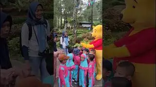 Outbound Anak TK di Bernah de Valley Pacet Mojokerto #amazingkidsadventure #outboundpacet